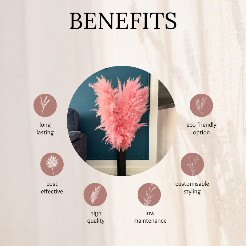XL Extra Fluffy Pampas Grass In Pink