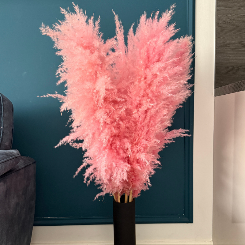 XL Extra Fluffy Pampas Grass In Pink
