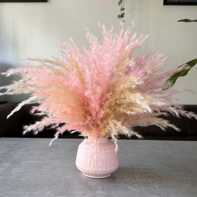 Florence Dried Flower Arrangement In Fluffy Cream & Pink Pampas Grass