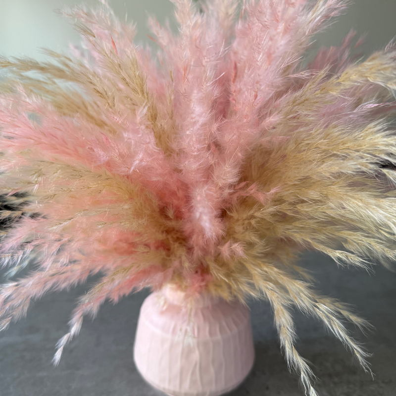 Florence Dried Flower Arrangement In Fluffy Cream & Pink Pampas Grass