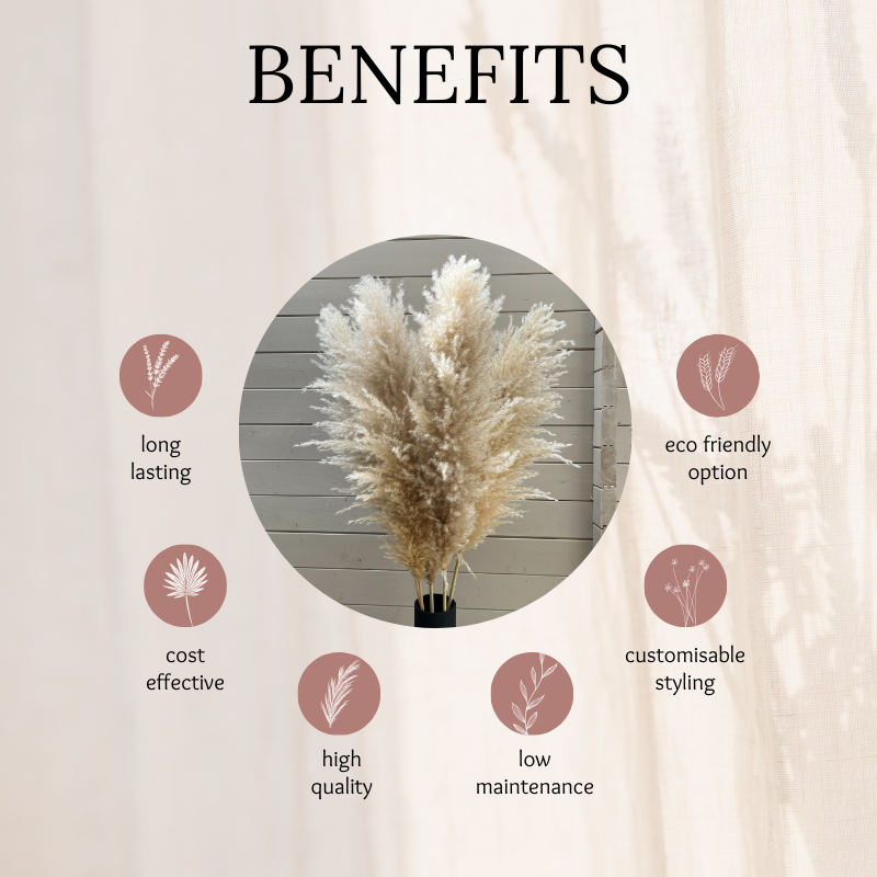XL Extra Fluffy Pampas Grass In Cream