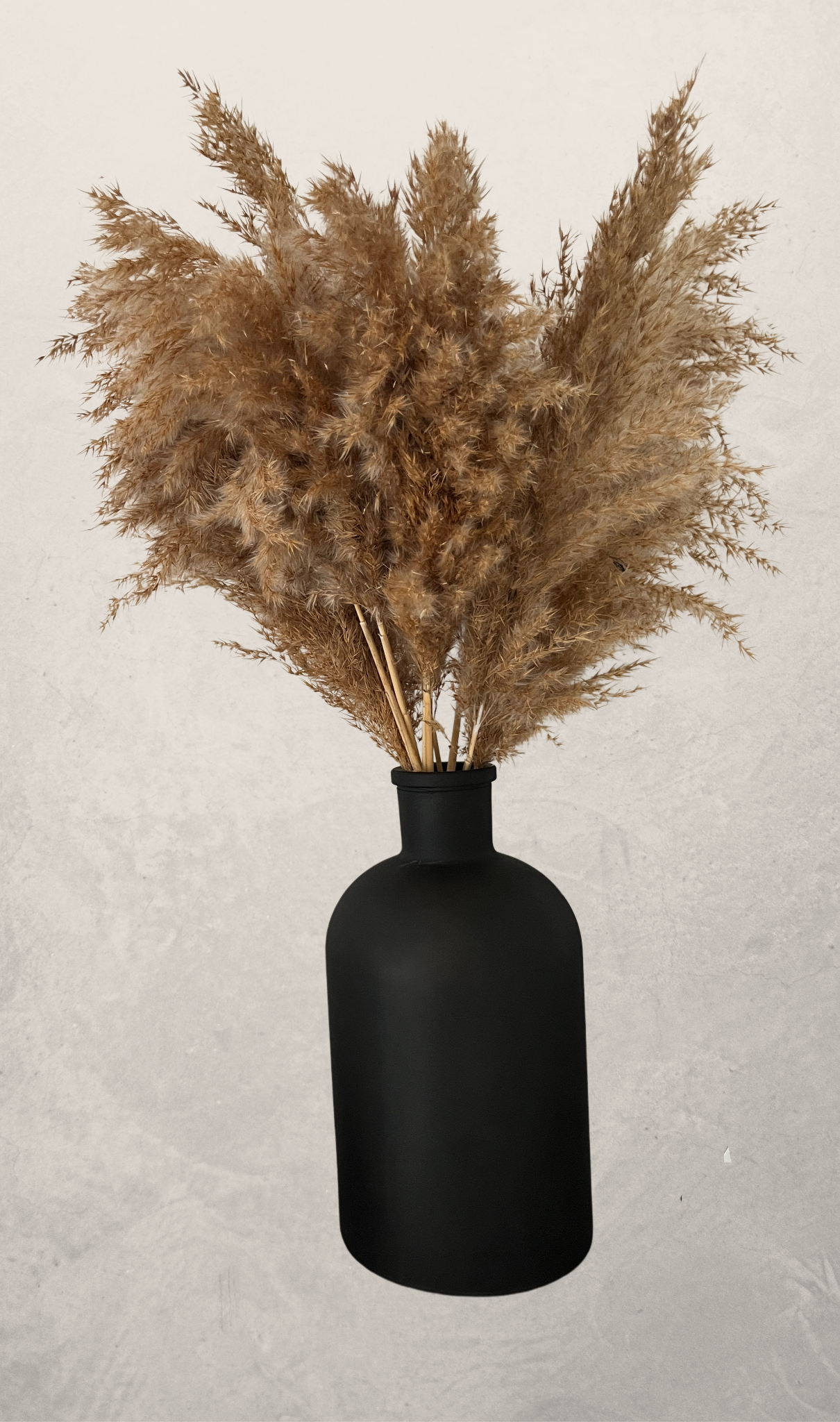 reed in black vase