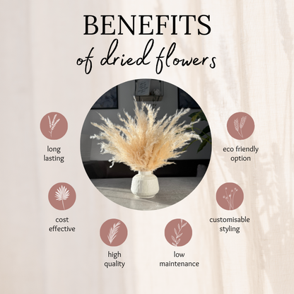 Eadie Dried Flower Arrangement In Fluffy Cream Pampas Grass