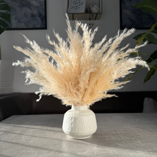 Eadie Dried Flower Arrangement In Fluffy Cream Pampas Grass