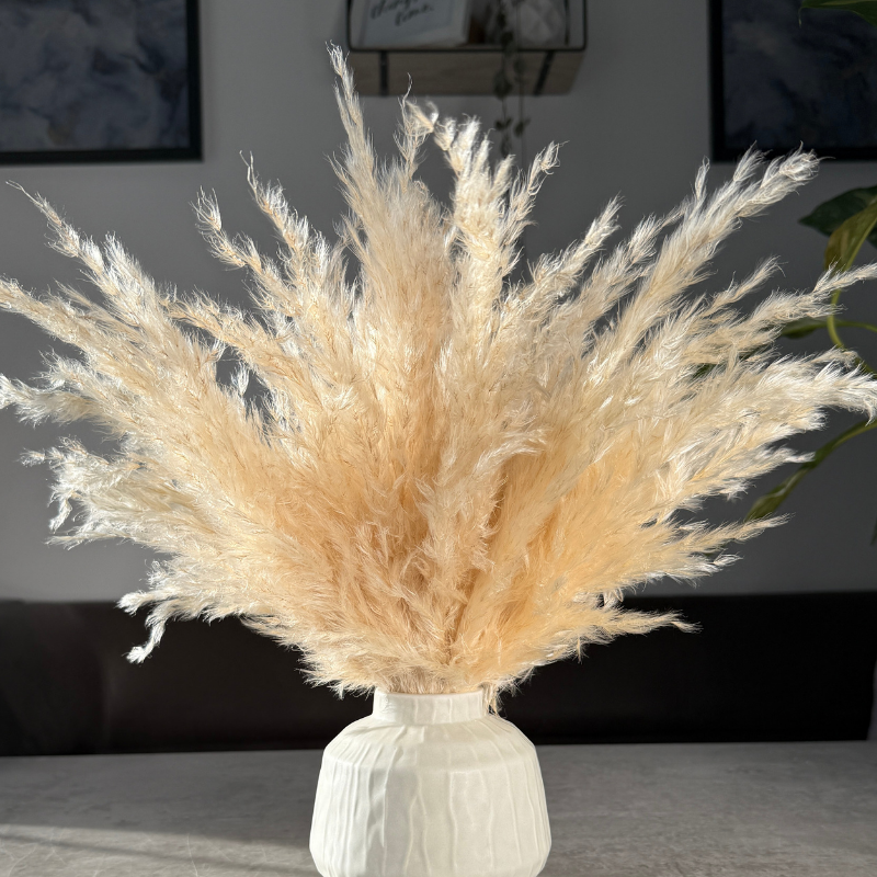 Eadie Dried Flower Arrangement In Fluffy Cream Pampas Grass