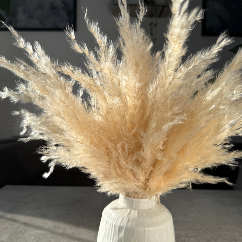 Eadie Dried Flower Arrangement In Fluffy Cream Pampas Grass