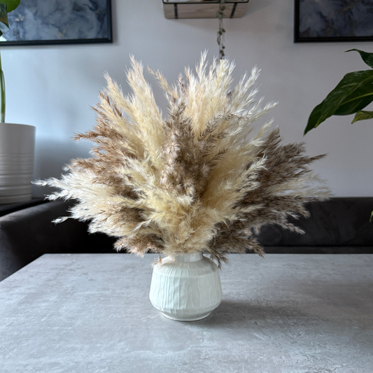 Tallulah Dried Flower Arrangement In Cream & Natural Fluffy Pampas Grass