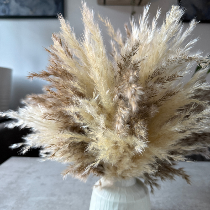 Tallulah Dried Flower Arrangement In Cream & Natural Fluffy Pampas Grass