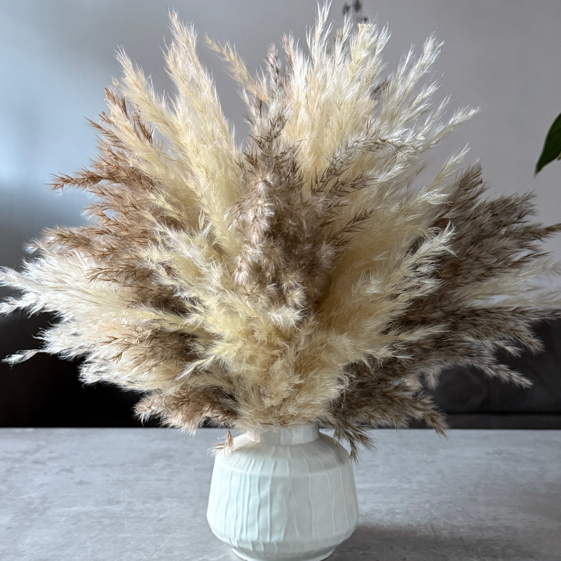 Tallulah Dried Flower Arrangement In Cream & Natural Fluffy Pampas Grass