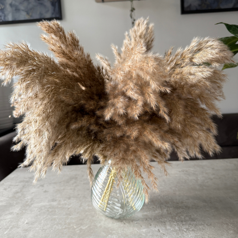 Arabella Dried Flower Arrangement In Fluffy Natural Pampas Reed