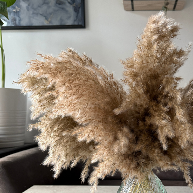 Arabella Dried Flower Arrangement In Fluffy Natural Pampas Reed