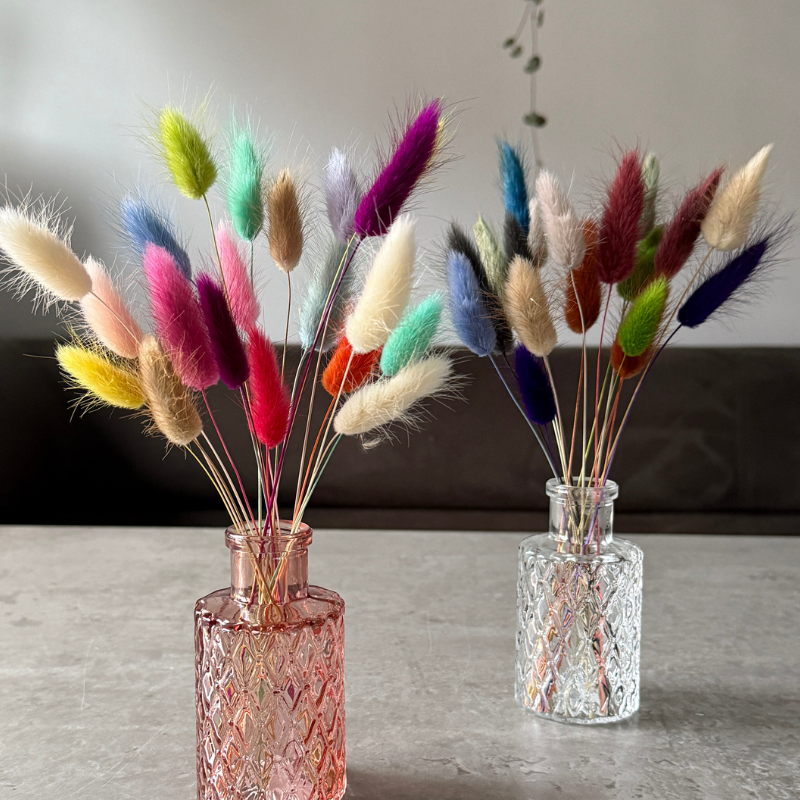 Bunny Tail Dried Flowers 20 Stems