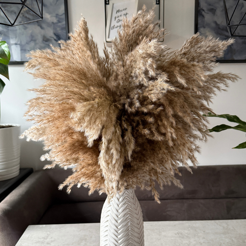 Faith Dried Flower Arrangement In Natural Fluffy Pampas Grass