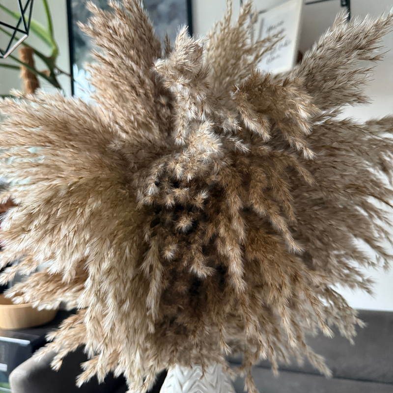 Faith Dried Flower Arrangement In Natural Fluffy Pampas Grass