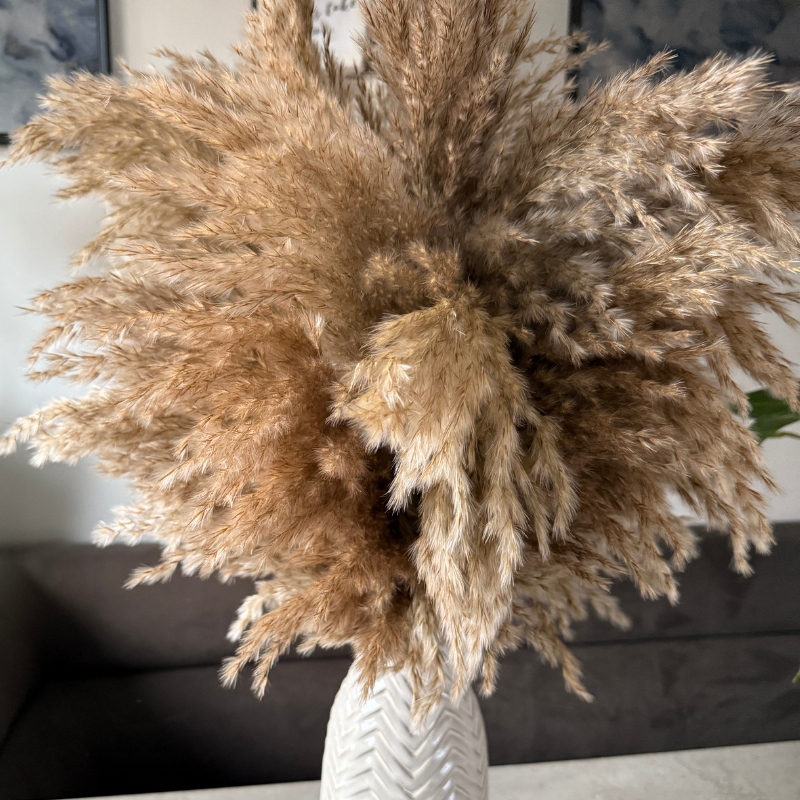 Faith Dried Flower Arrangement In Natural Fluffy Pampas Grass