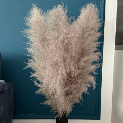 XL Extra Fluffy Pampas Grass In Grey