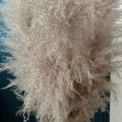 XL Extra Fluffy Pampas Grass In Grey