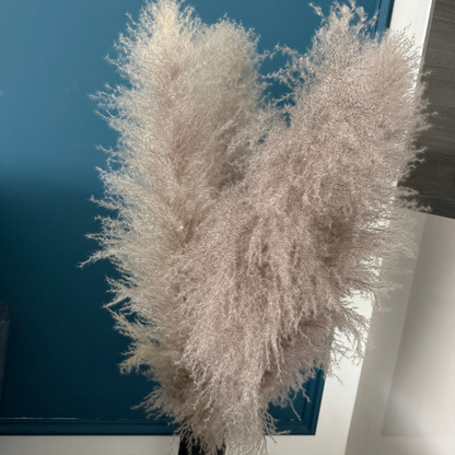 XL Extra Fluffy Pampas Grass In Grey