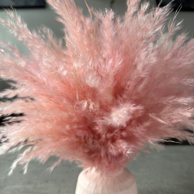 Ophelia Dried Flower Arrangement In Fluffy Pink Pampas Grass