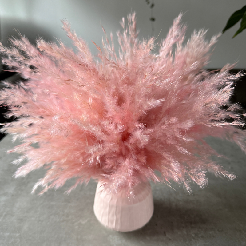 Ophelia Dried Flower Arrangement In Fluffy Pink Pampas Grass