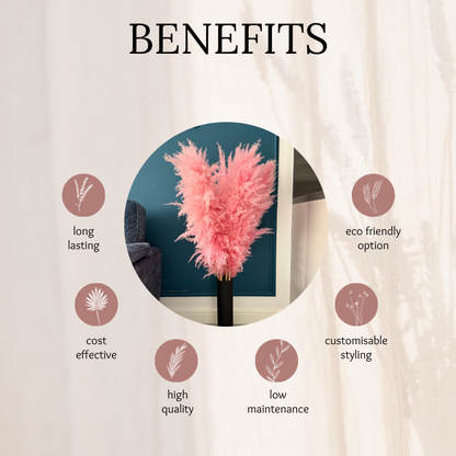 XL Extra Fluffy Pampas Grass In Pink