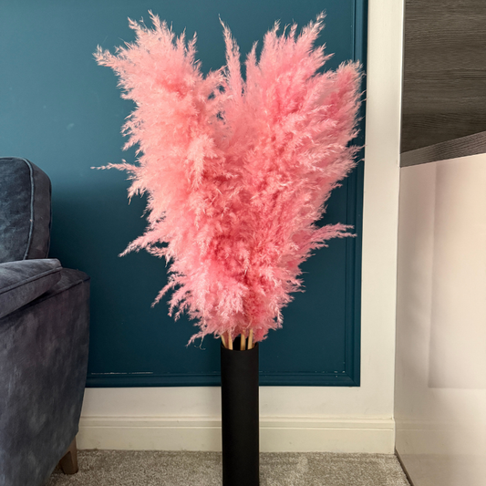 XL Extra Fluffy Pampas Grass In Pink
