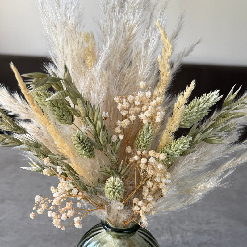 Zola Dried Flower Arrangement In Natural Green & Cream