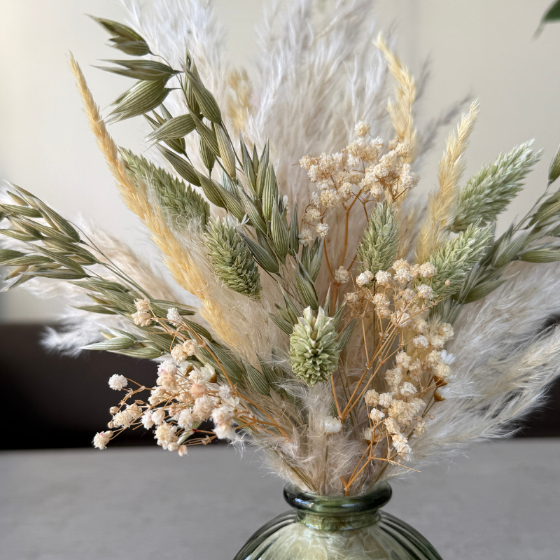 Zola Dried Flower Arrangement In Natural Green & Cream