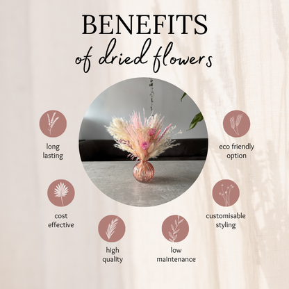 Jaya Dried Flower Arrangement In Pink & Cream