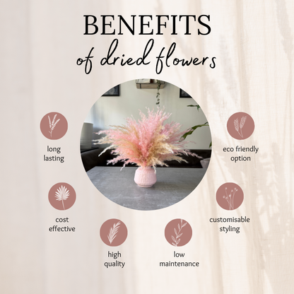 Florence Dried Flower Arrangement In Fluffy Cream & Pink Pampas Grass