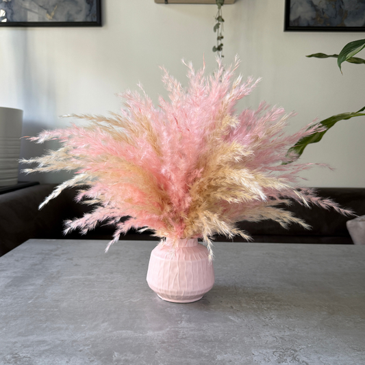 Florence Dried Flower Arrangement In Fluffy Cream & Pink Pampas Grass