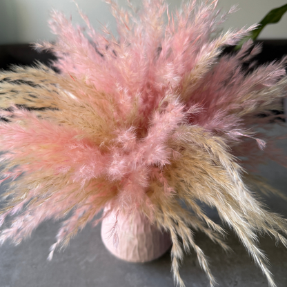 Florence Dried Flower Arrangement In Fluffy Cream & Pink Pampas Grass
