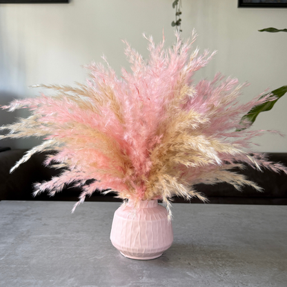 Florence Dried Flower Arrangement In Fluffy Cream & Pink Pampas Grass