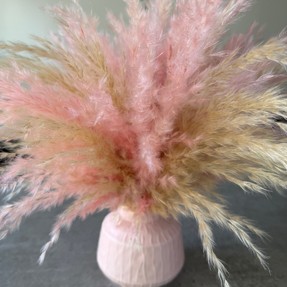 Florence Dried Flower Arrangement In Fluffy Cream & Pink Pampas Grass