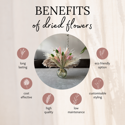 Dakota Dried Flower Arrangement In Green, Pink, Natural & Cream