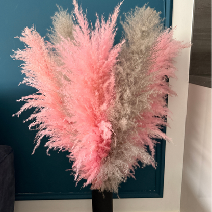 XL Extra Fluffy Pampas Grass In Pink & Grey