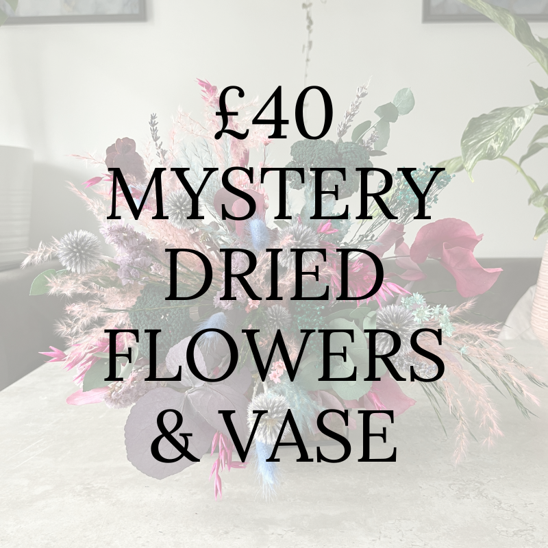 £40 Mystery Dried Flowers & Vase