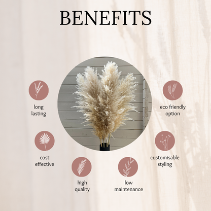 XL Extra Fluffy Pampas Grass In Cream