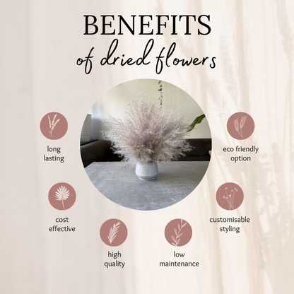 Margo Dried Flower Arrangement In Fluffy Grey Pampas Grass