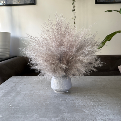 Margo Dried Flower Arrangement In Fluffy Grey Pampas Grass