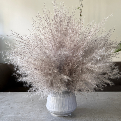 Margo Dried Flower Arrangement In Fluffy Grey Pampas Grass