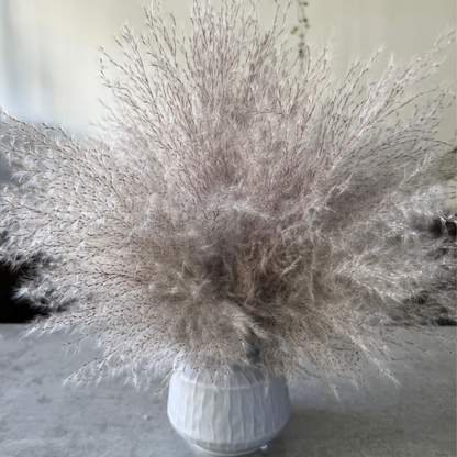 Margo Dried Flower Arrangement In Fluffy Grey Pampas Grass