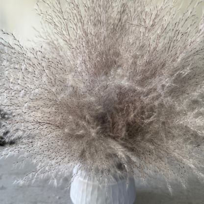 Margo Dried Flower Arrangement In Fluffy Grey Pampas Grass
