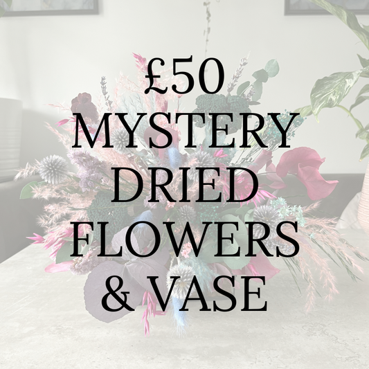 £50 Mystery Dried Flowers & Vase