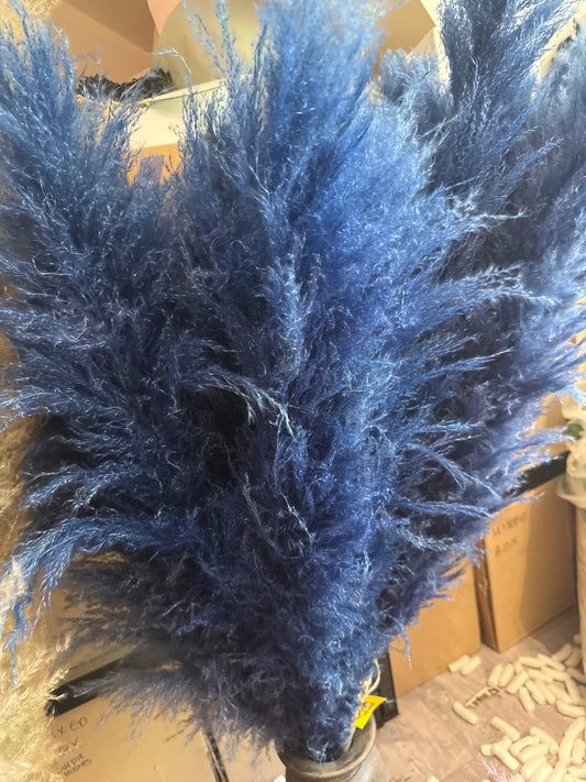 XL Extra Fluffy Pampas Grass In Navy