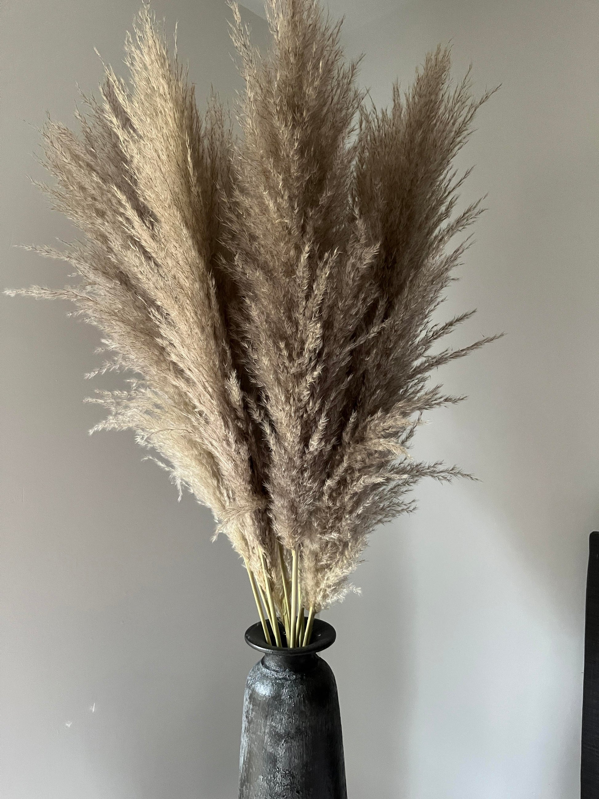 Fluffy pampas grass in a tall bali vase