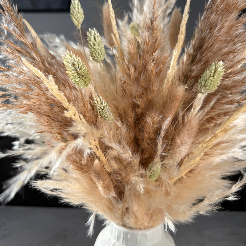 Evelyn Dried Flower Arrangement In Natural, Cream & Soft Green