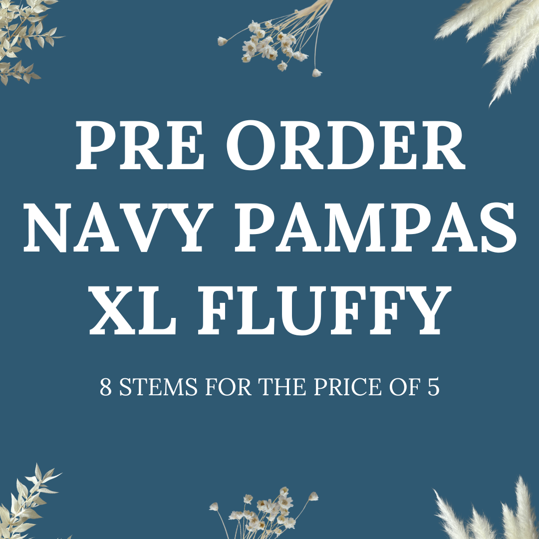 PRE ORDER NAVY PAMPAS