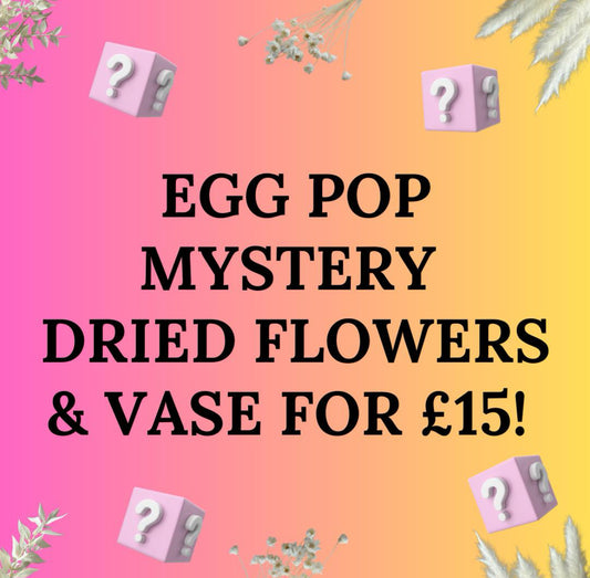 Egg Pop Mystery Dried Flowers & Vase - Deal or No Deal