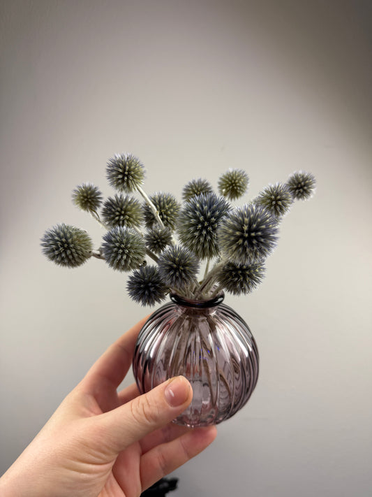 Scottish Globe Thistles With Vase